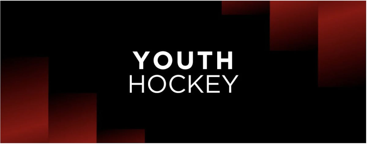 youth-hockey-64d2d6efba49c.png